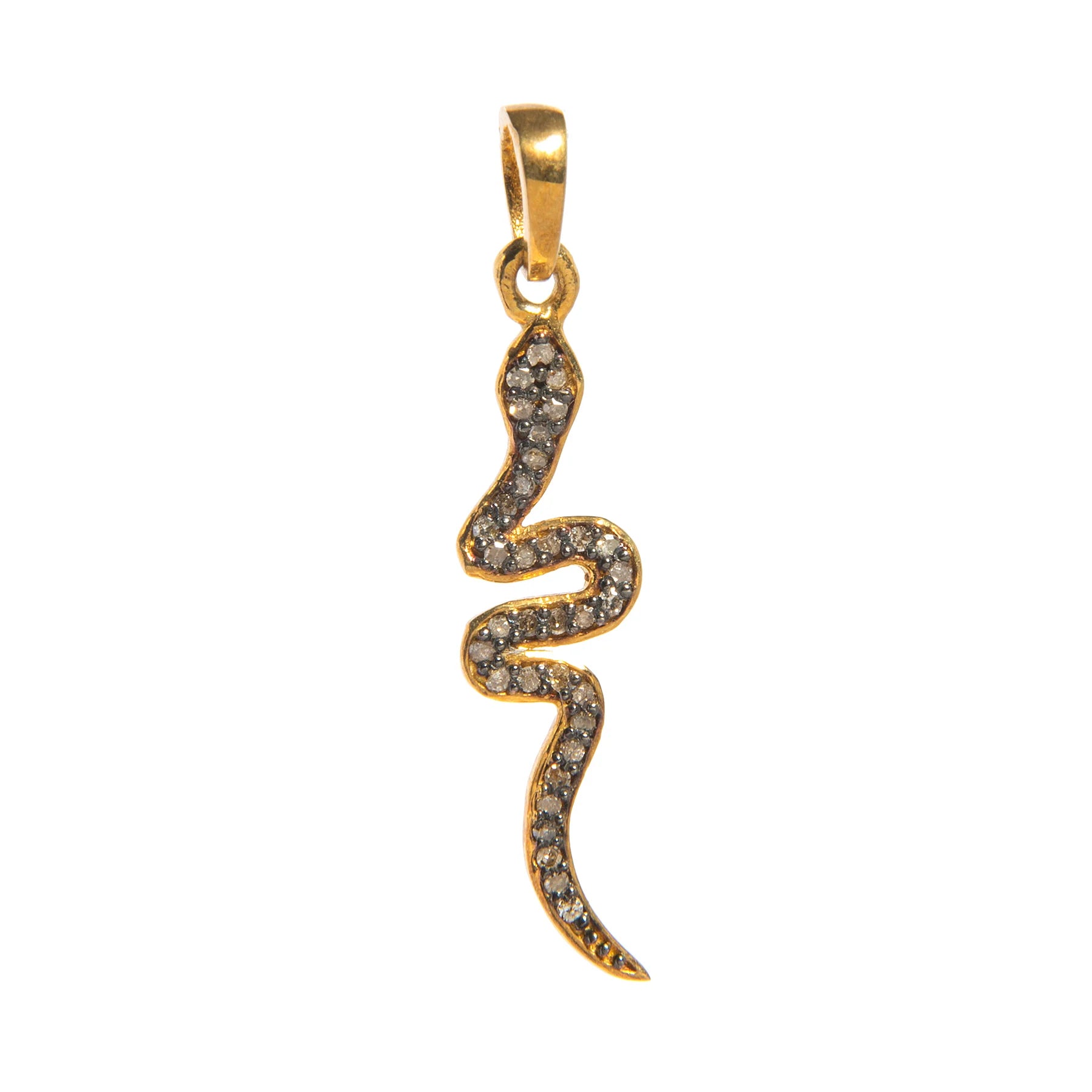 Snake charm with diamonds – elegant serpent-shaped pendant symbolizing transformation and adorned with shimmering stones


