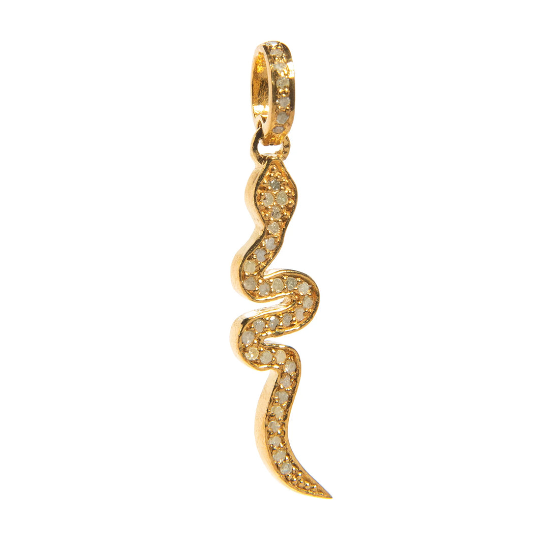 Snake charm with diamonds – elegant serpent-shaped pendant symbolizing transformation and adorned with shimmering stones