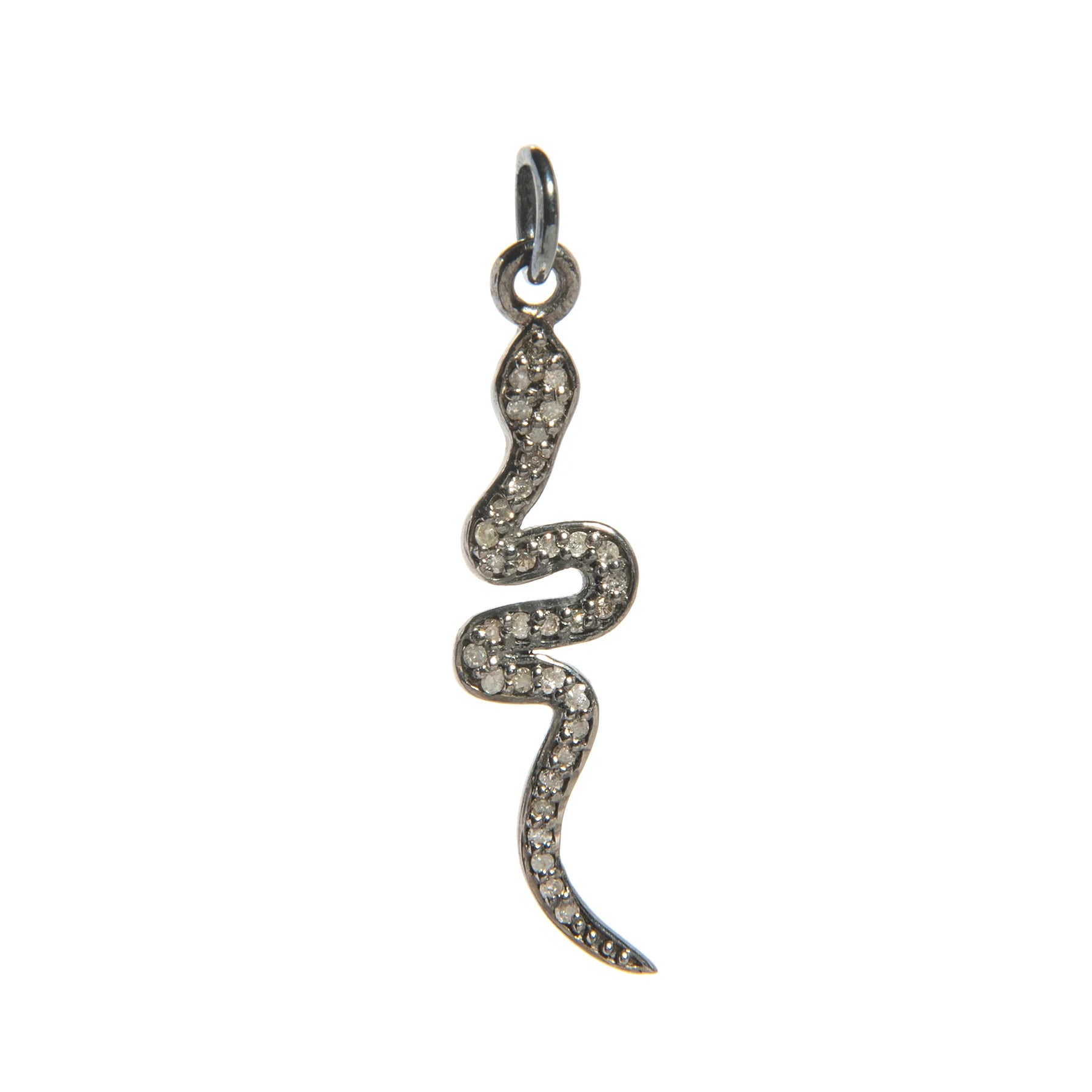 Snake charm with diamonds – elegant serpent-shaped pendant symbolizing transformation and adorned with shimmering stones

