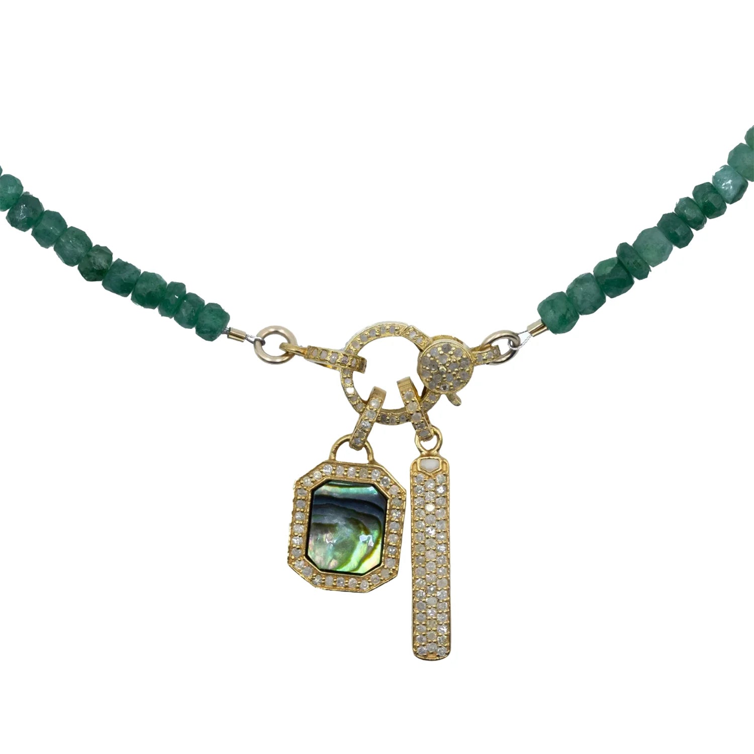 Dog Tag Abalone