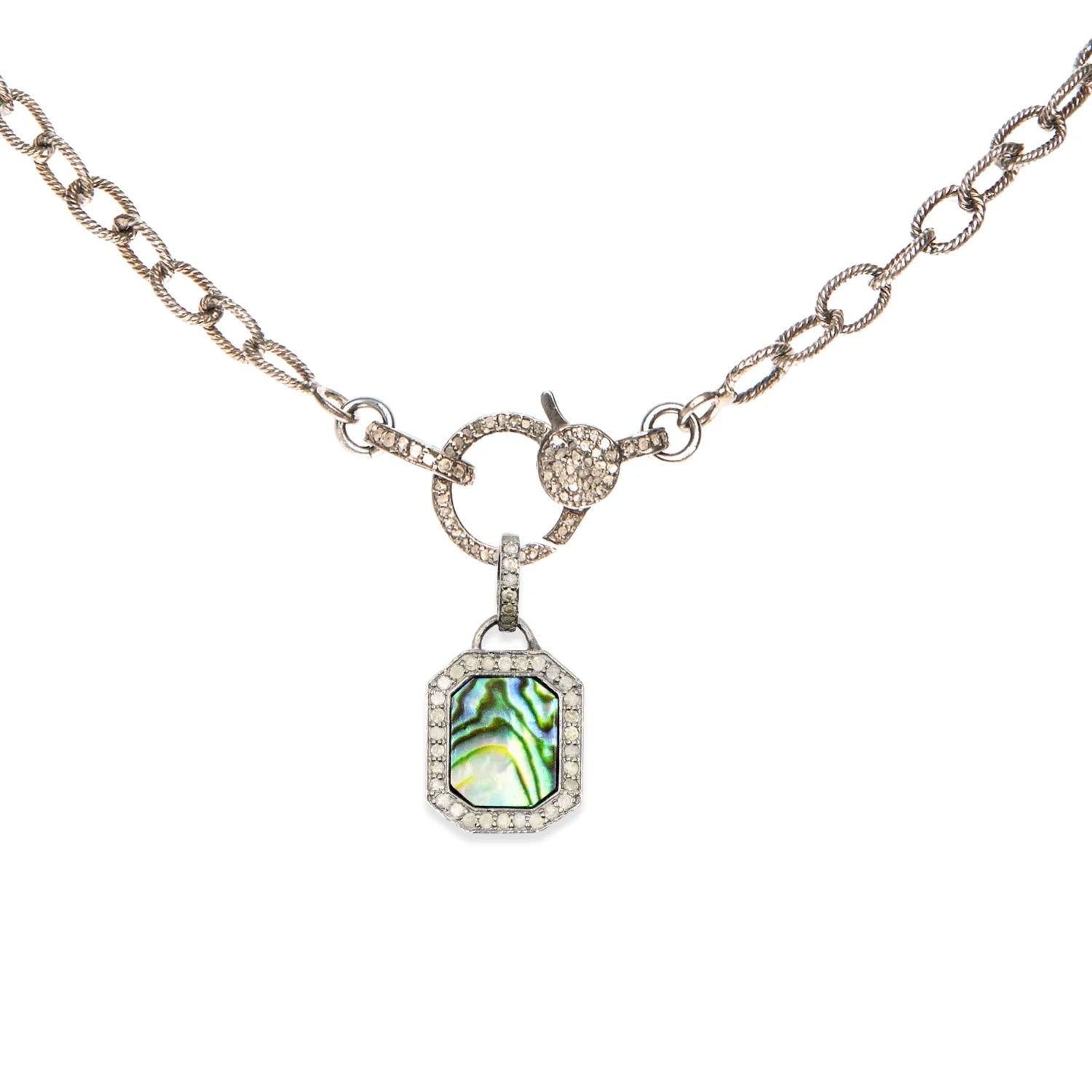 Dog Tag Abalone