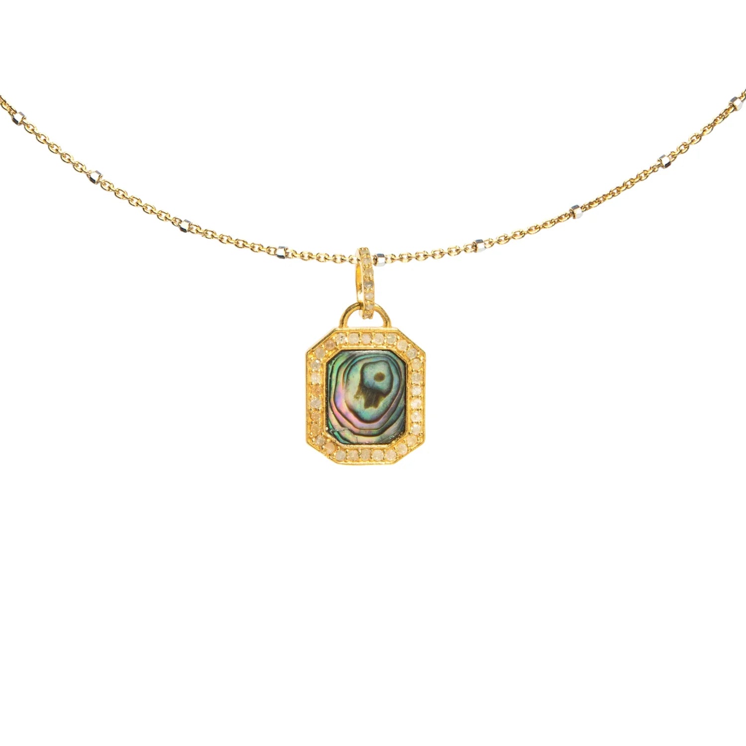 Dog Tag Abalone